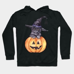 Halloween pumpkin cat Hoodie